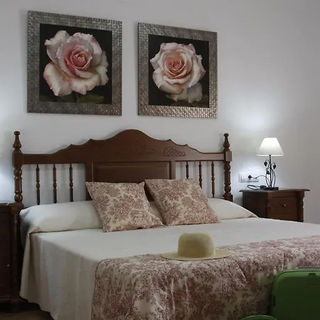 Galatea Alquiler íntegro Casa rural Ossa de Montiel