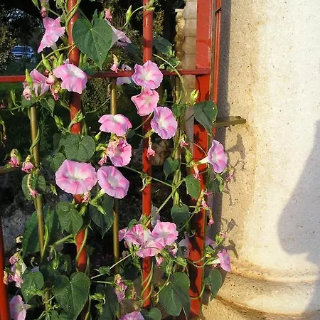 Casa rural Galatea Alquiler íntegro Ossa de Montiel